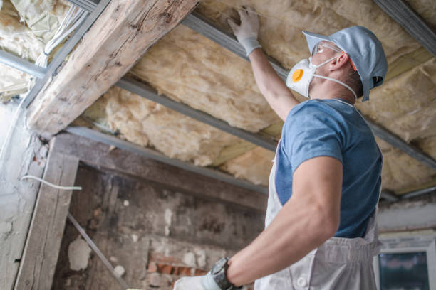 Best Types of Insulation in National Harbor, MD